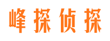 东湖市侦探调查公司